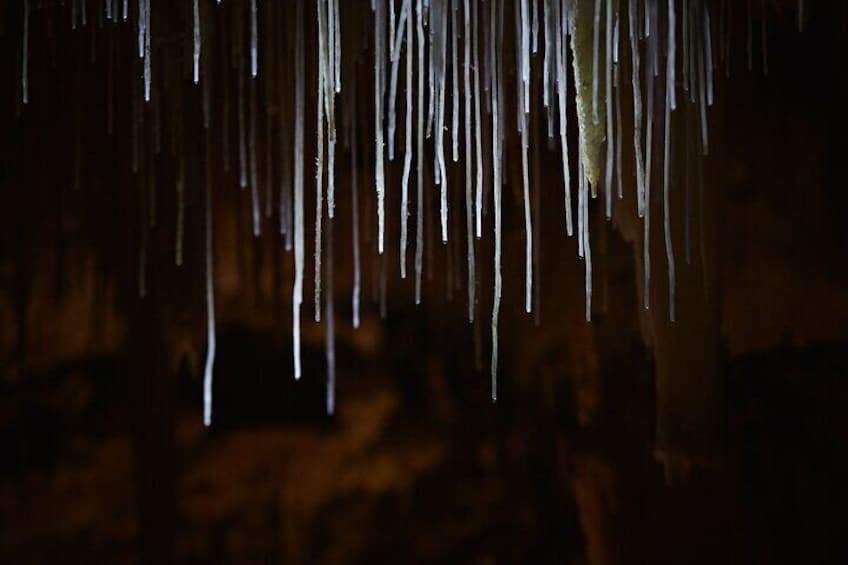 Lake Cave Fully Guided Tour