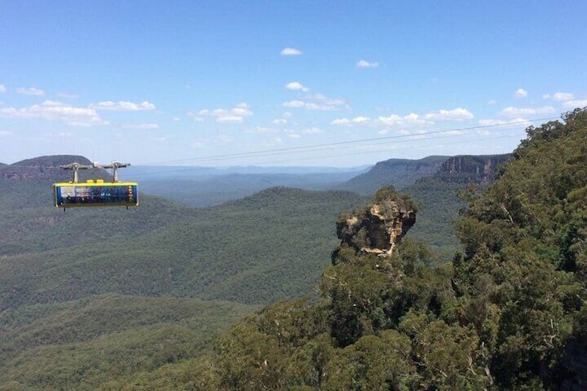 Blue Mountains Private Tour with Wildlife Park and River Cruise