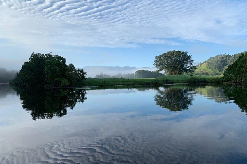 Daintree River Reflections by Murray Hunt