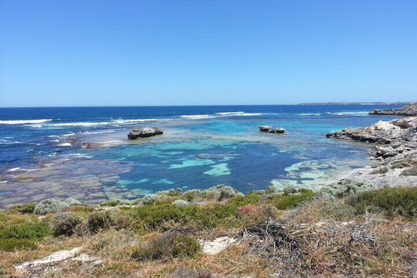 Rottnest Island Scenic Flight or 1/2 Day stopover