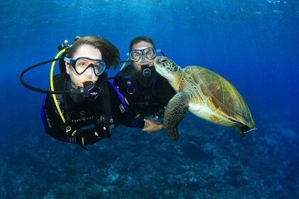 Gold Coast Try-Scuba Experience at Wave Break Island