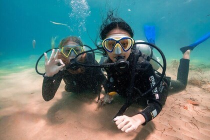 Gold Coast Try-Scuba Experience at Wave Break Island