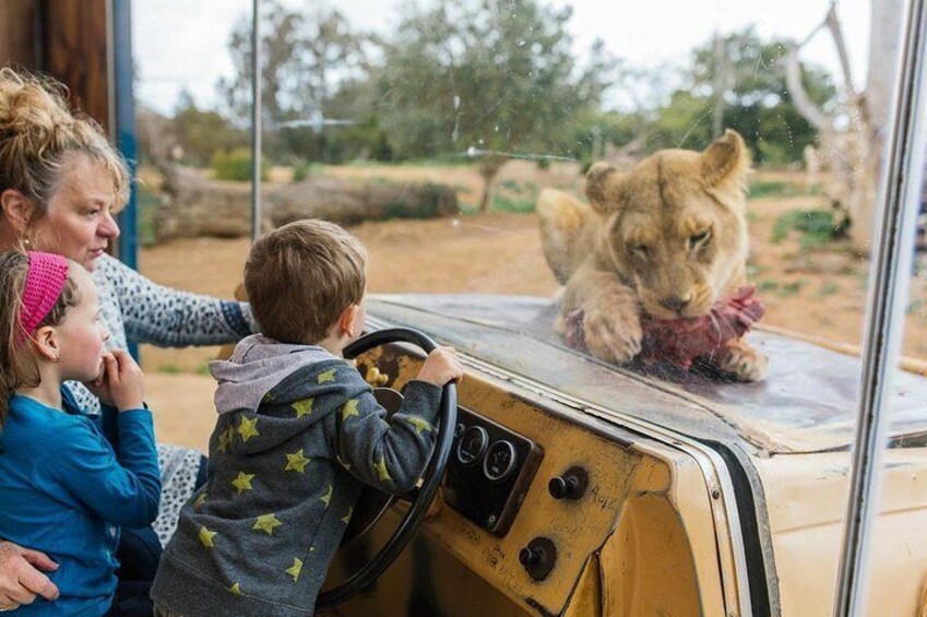 Werribee Open Range Zoo General Admission Ticket