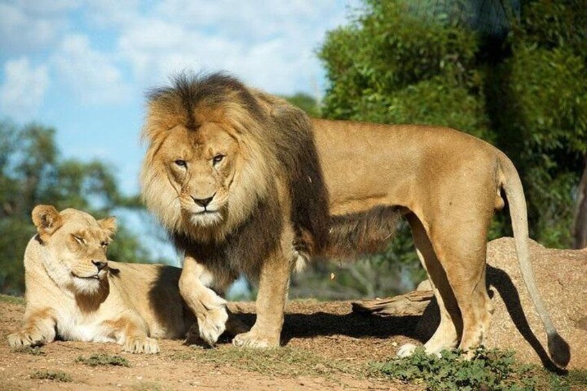 Werribee Open Range Zoo