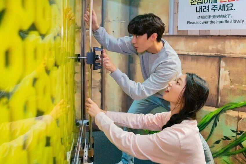 Dynamic Maze Discount Ticket Insa-dong(내국인불가)