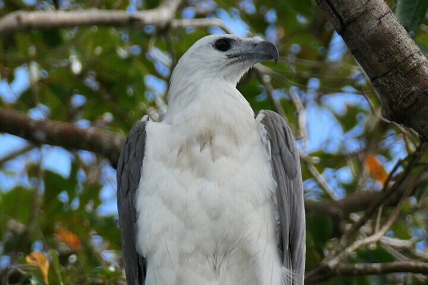 Amazing birdlife