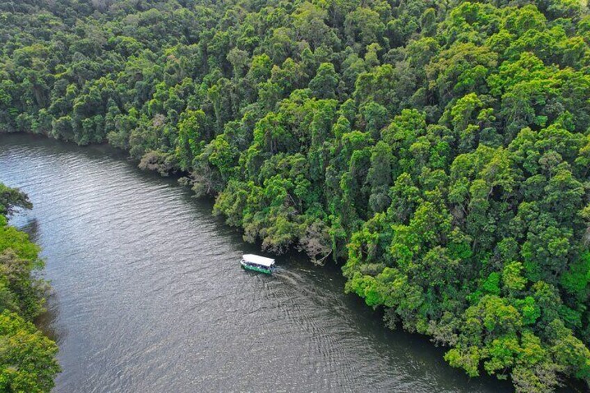 Daintree the oldest rainforest in the world !