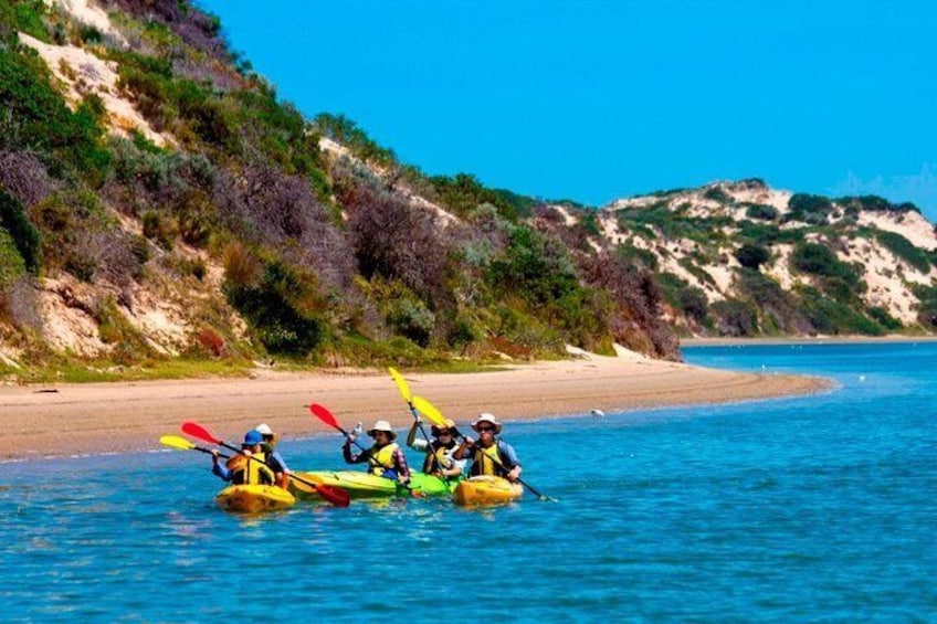 Kayaking the Coorong National Park