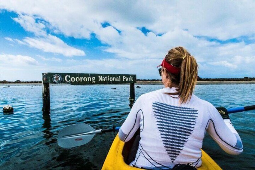 Half-Day Kayaking Tour in Coorong National Park