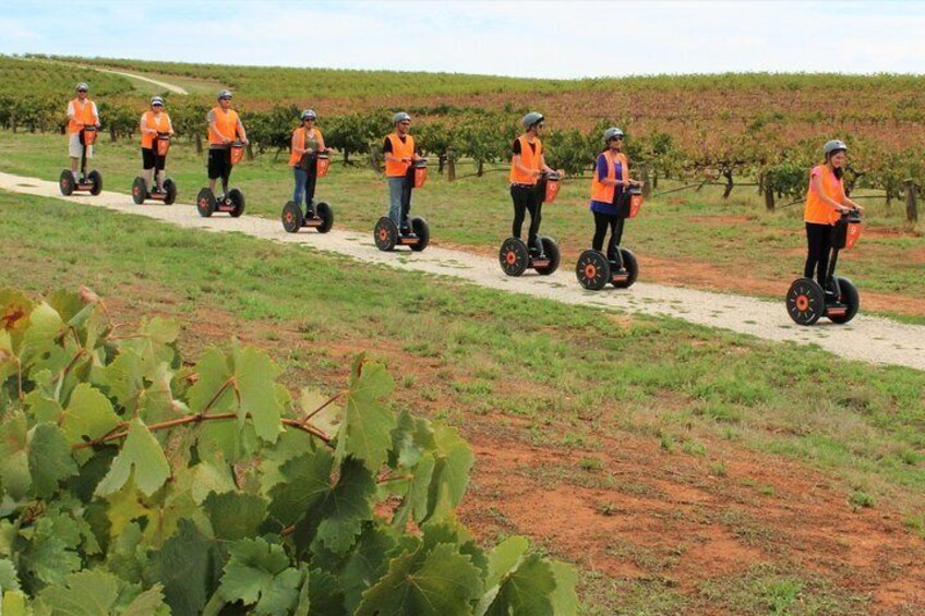 up to the vines
