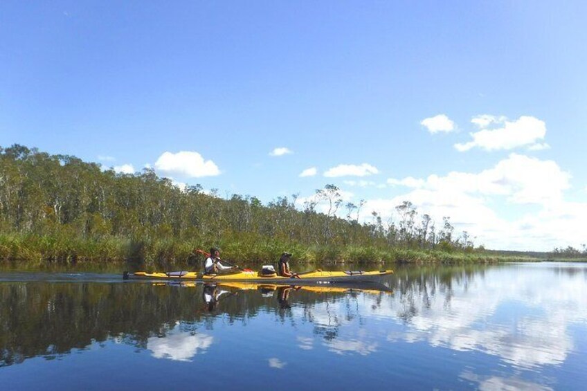 Reflections on the Upper Noosa River