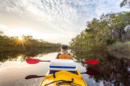 Full-Day Guided Noosa Everglades Kayak Tour