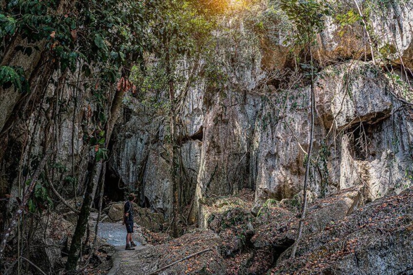 Capricorn Caves Cathedral Cave Tour