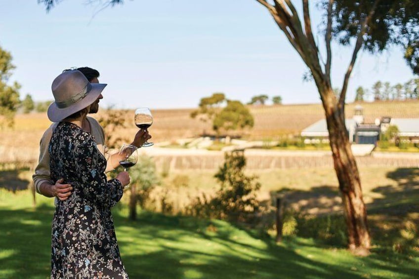 Amazing McLaren Vale scenery