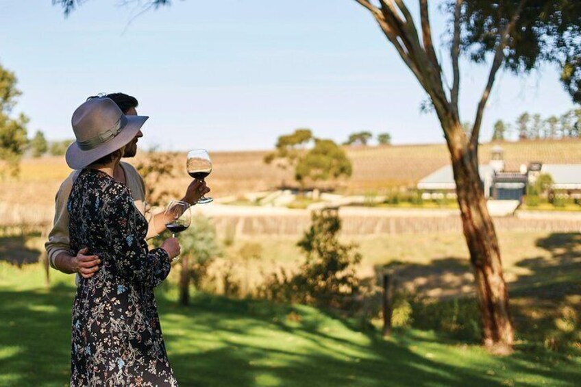Amazing McLaren Vale scenery