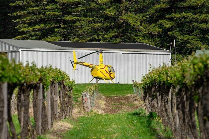 Barossa Valley Deluxe: 30-Minute Helicopter Flight