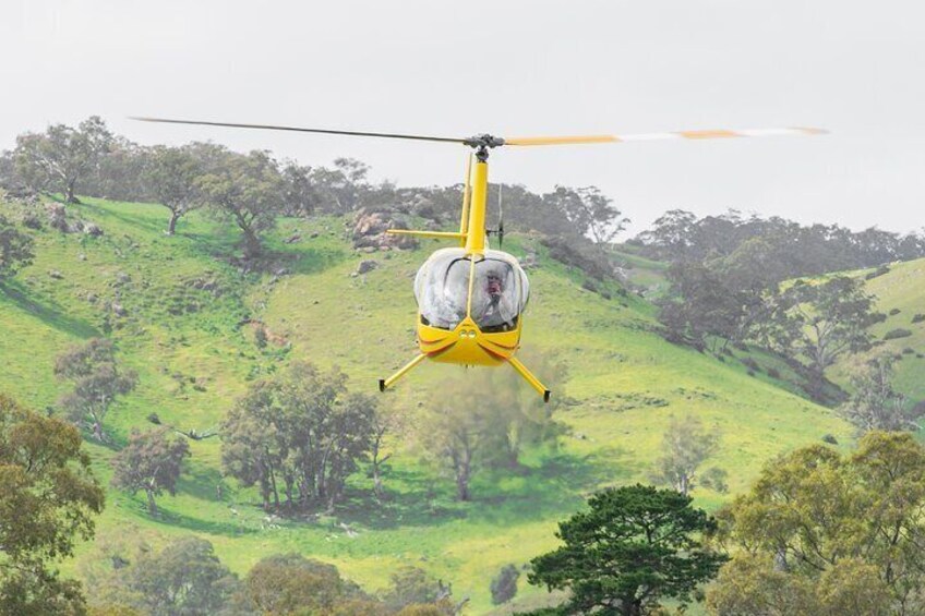 Barossa Valley Deluxe: 30-Minute Helicopter Flight