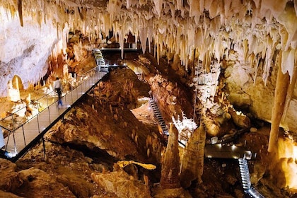 Jewel Cave Fully-guided Tour