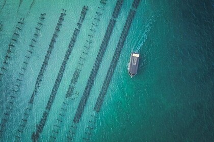 Coffin Bay Day Tour - A Taste of Coffin Bay