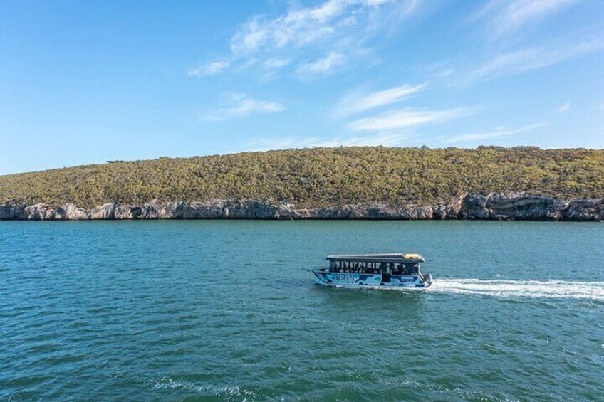 Cruise the calm waters of Coffin Bay