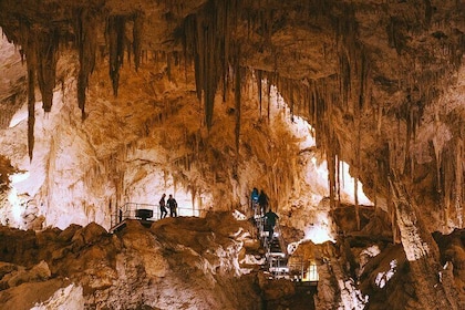 Mammoth Cave Self-guided Audio Tour