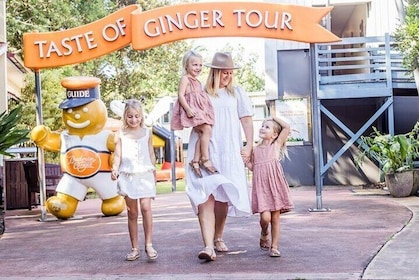 Ginger Factory and Nutworks Return Bus Transfer: Sunshine Coast