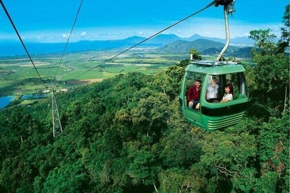 Cairns Kuranda Skyrail and Railway Small group tour