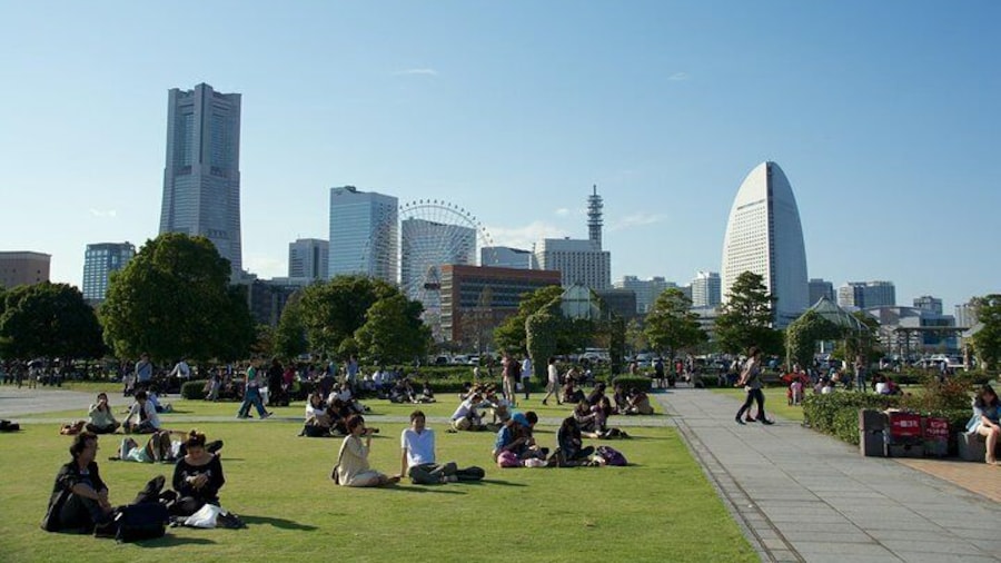 Hang out with locals in Yokohama