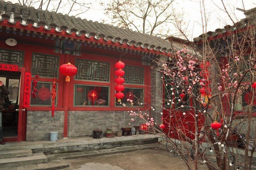 Full-Day Beijing City Tour: Hutongs, Lama Temple and Panda House
