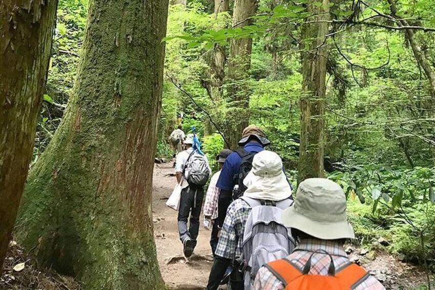 Private Tour - A Hiking Tour of Mt.Takao and its Exciting Sights