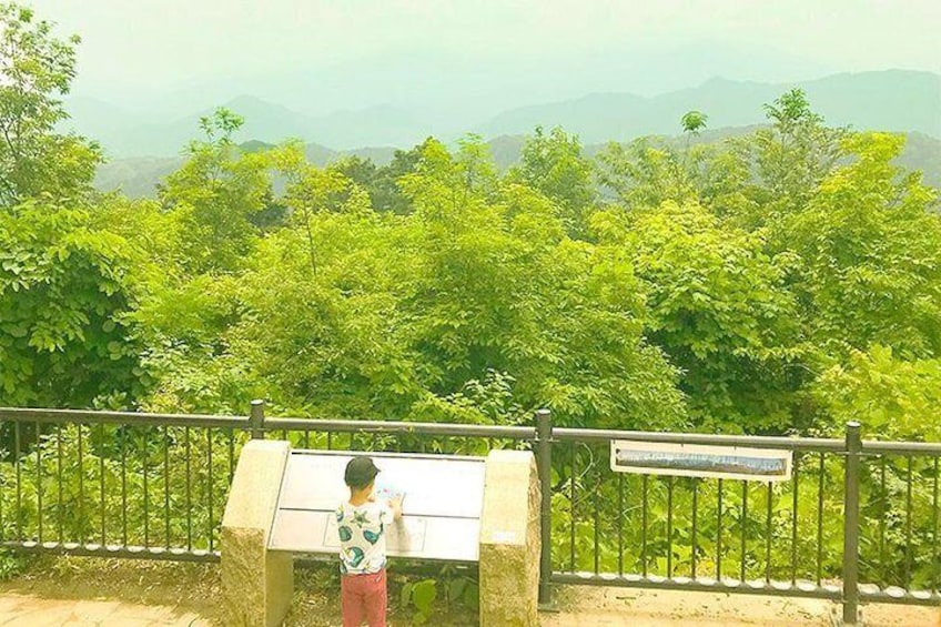 Private Tour - A Hiking Tour of Mt.Takao and its Exciting Sights
