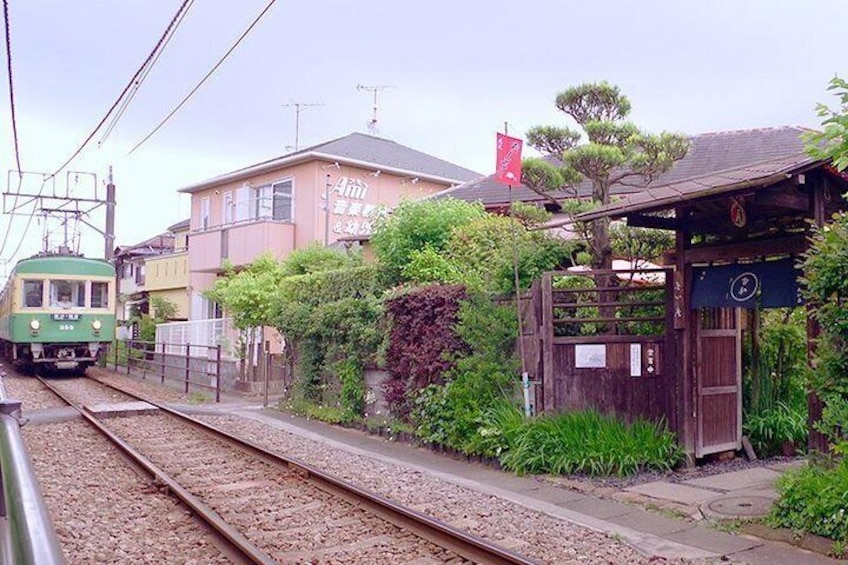 Private Tour - Introducing all the Famous Spots in Kamakura and Enoshima!
