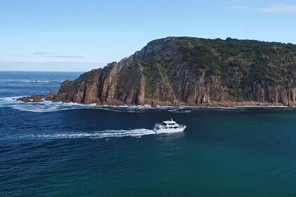 Croisière touristique à Cape Woolamai au départ de San Remo