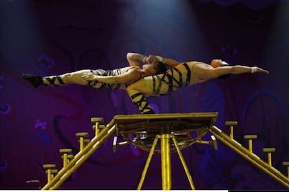 Beijing Red Theatre Acrobatic Show with Private Transfer Service