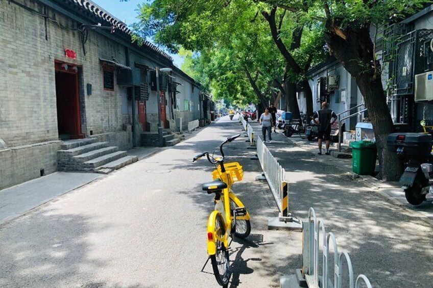 4 Hour Calligraphy Class and Hutong Walk including Noodles 