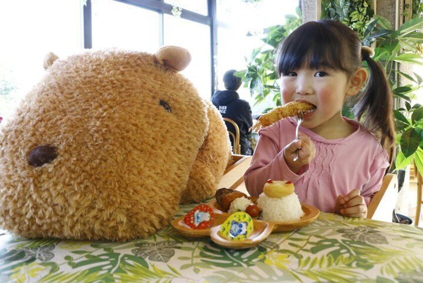 Izu Shaboten Park Admission Ticket