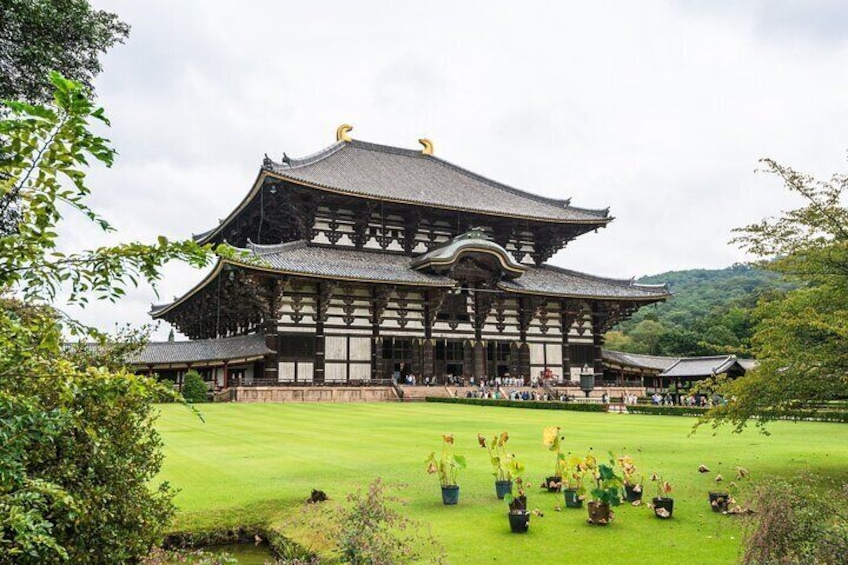 Private Nara Tour with Government Licensed Guide & Vehicle (Kyoto Departure)