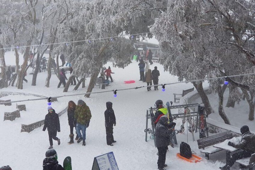 Mt Buller Day Trip from Melbourne