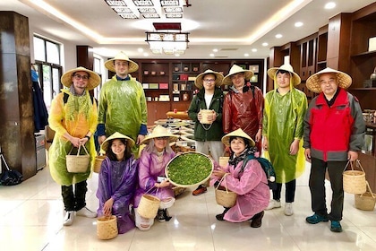 1-day Village Tea Picking, Roasting & Serving Guided Private Tour from Hang...