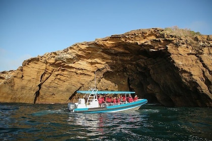 Hunter Coastal Adventure Tour by Boat from Newcastle