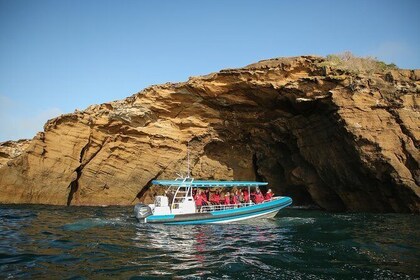 Hunter Coastal Adventure Tour by Boat from Newcastle