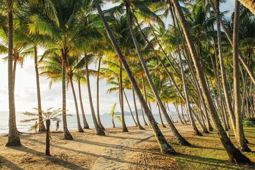 Palm Cove Beach