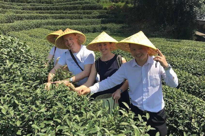 Hangzhou Tea Culture Experience Tour