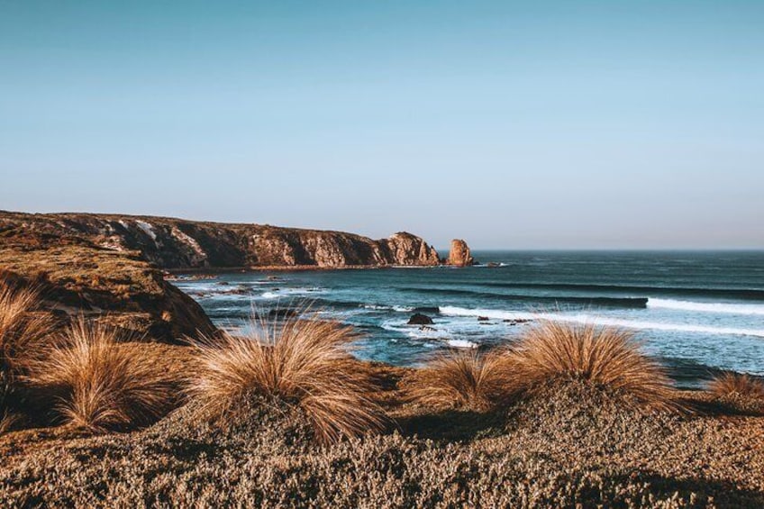 Surf beach below at Cape Woolamai.