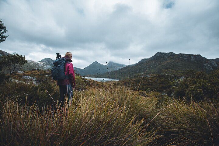Cradle Mountain: Dove Lake Guided Hiking Tour