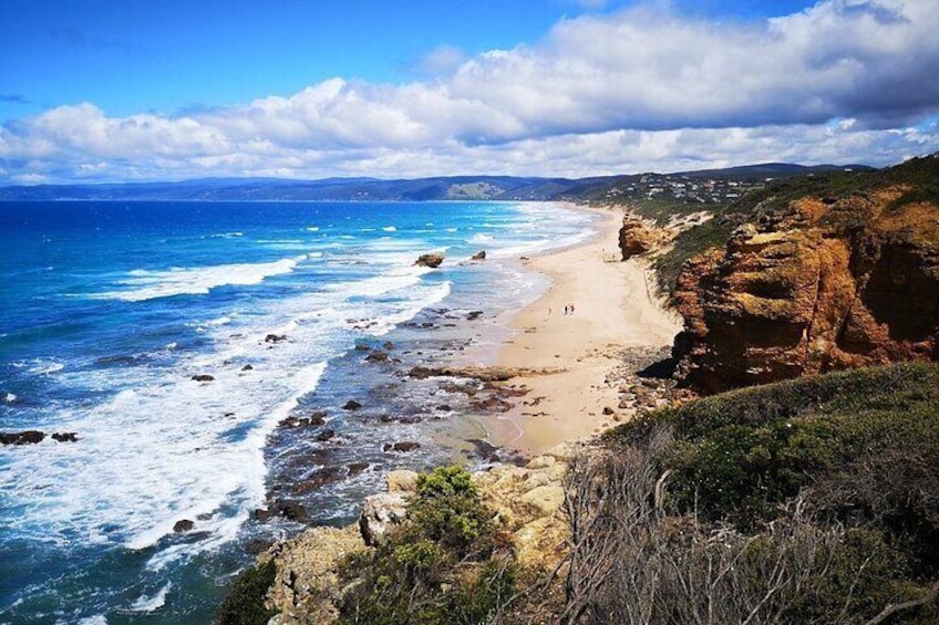 Split Point Lighthouse Tours