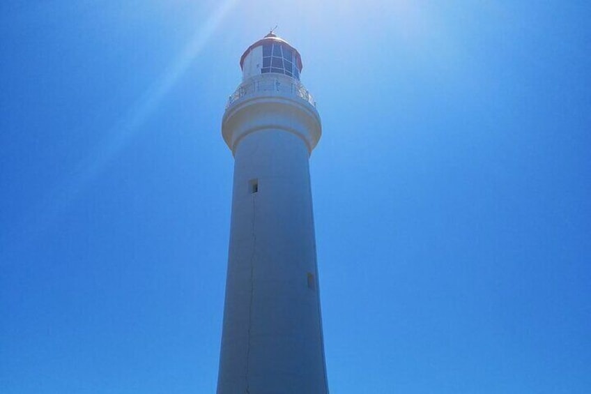 Split Point Lighthouse Tours