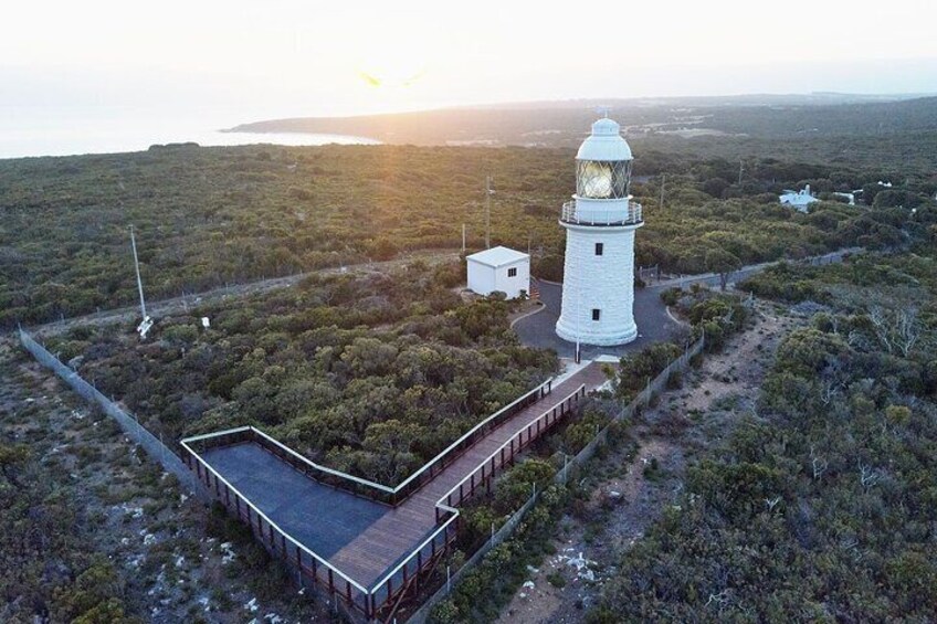 Cape Naturaliste Lighthouse Fully-guided Tour