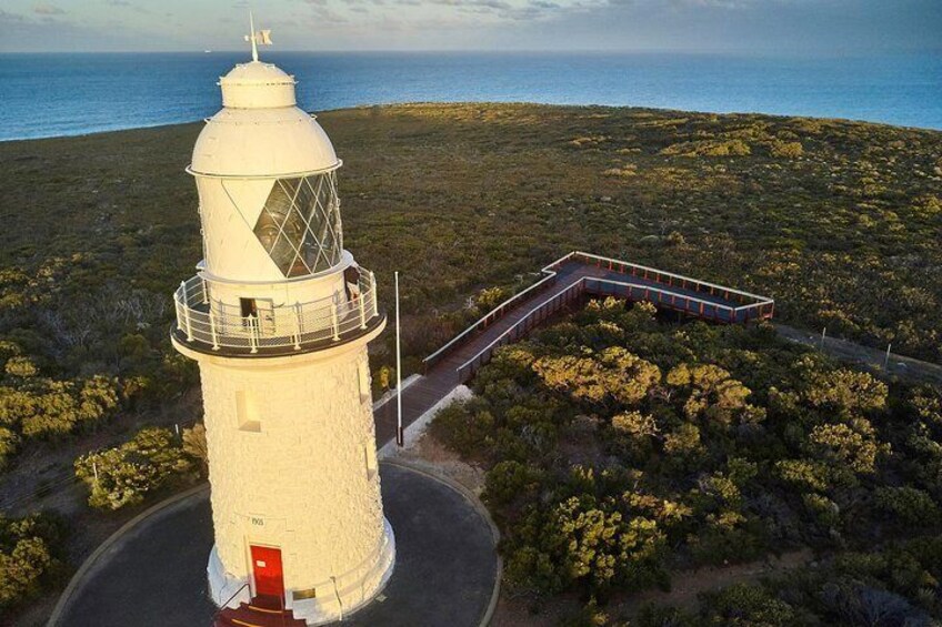 Cape Naturaliste Lighthouse Tour