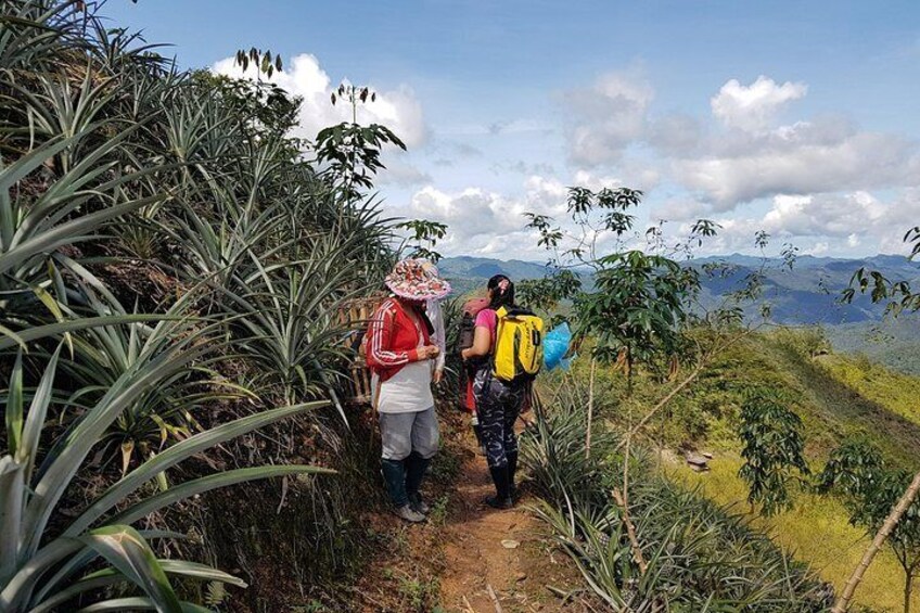 Discover the Natives of Mount Kinabalu